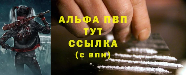 стафф Алексин