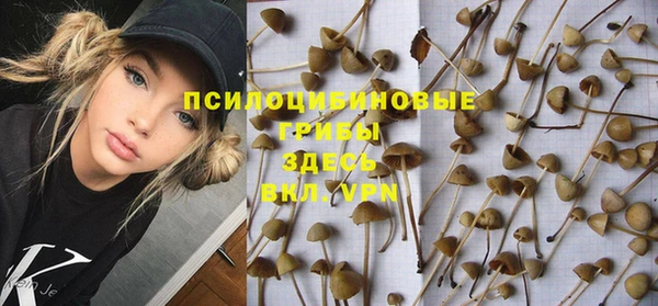 стафф Алексин