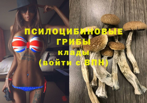 МДМА Алексеевка