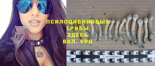 стафф Алексин