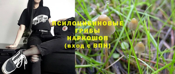 2c-b Алзамай